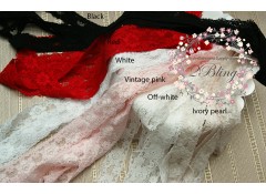 Elastic Lace - 2.5 cm wide - 2m length